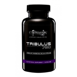 Товары для здоровья, спорта и фитнеса Nanox Tribulus 750 мг  (90 капс)